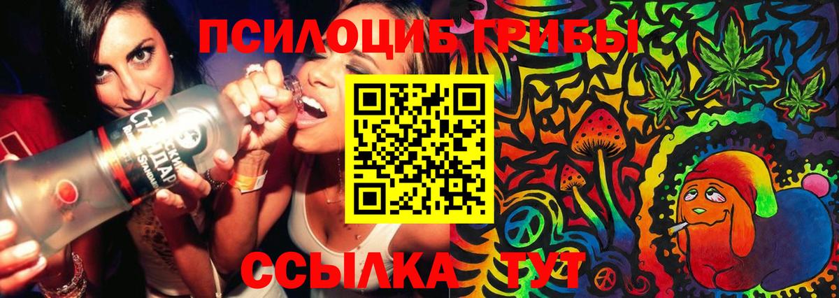Мичуринск  Псилоцибиновые грибы мицелий  Вход с VPN 